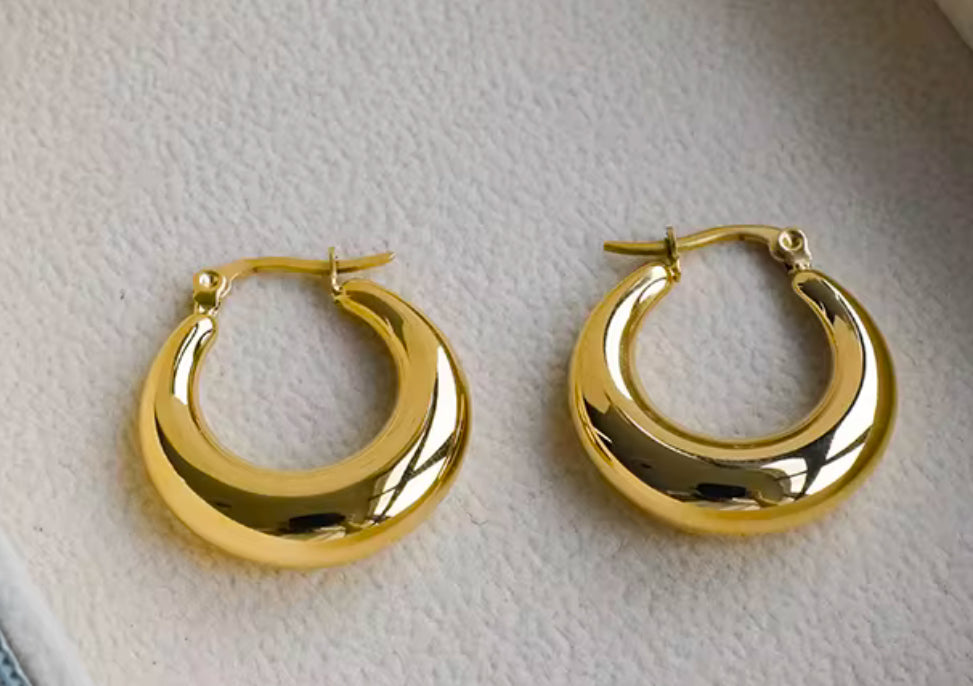 Aaliyah Hoop Earring