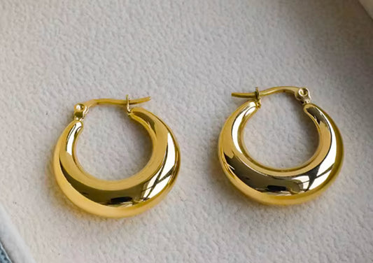 Aaliyah Hoop Earring